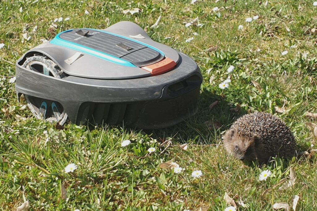 Mähroboter, Igel